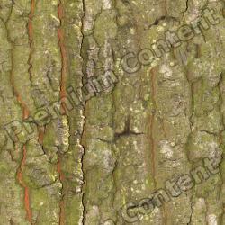 Seamless Bark 0001